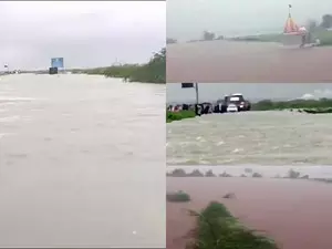 Gomti Ghat temples in Dwarka inundated, pilgrims stranded amid heavy rain Gomti Ghat temples in Dwarka inundated, pilgrims stranded amid heavy rain