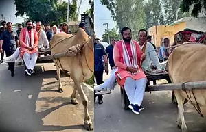 Haryana CM rides bullock cart to get connected at grassroot