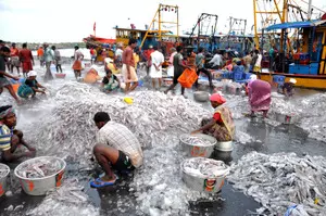 Experts call for incentives to fishermen for adopting sustainable practices