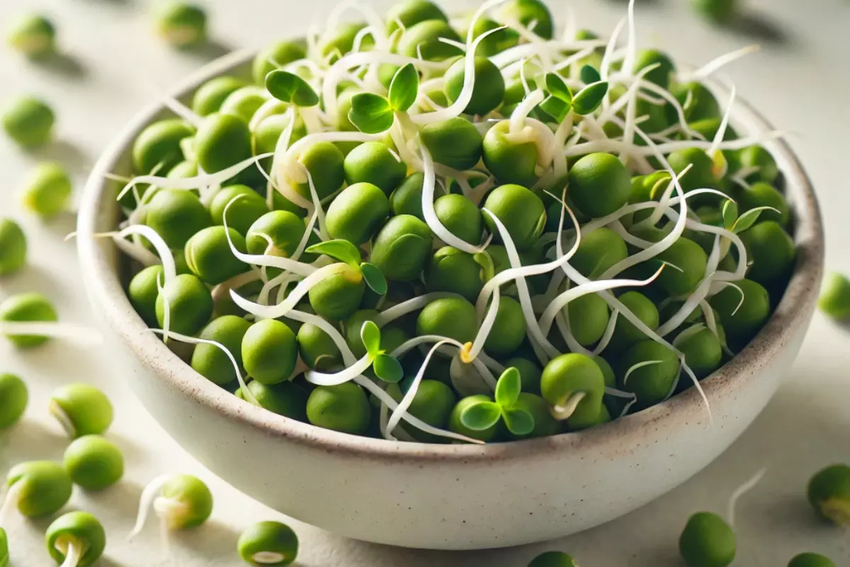 Boost Your Morning Routine: The Power of Sprouted Moong and Other Sprouts for Energy and Vitality Boost Your Morning Routine: The Power of Sprouted Moong and Other Sprouts for Energy and Vitality