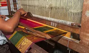 TN to source dhotis, sarees for pension beneficiaries from handloom weavers
