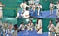 Bharat Dojo Yatra soon, says Rahul Gandhi; shares video of martial arts