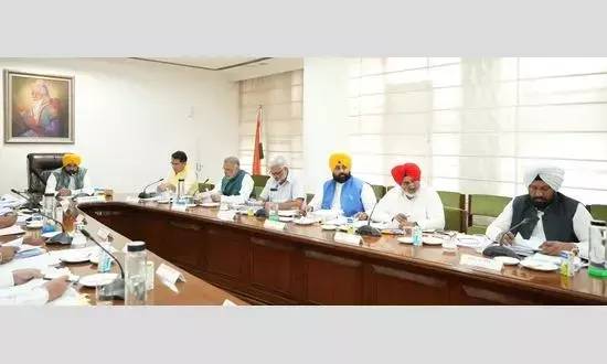 CM Bhagwat Mann-Led Cabinet Gives Nod to Amend Rule 12 of Punjab Panchayat Election Rules 1994