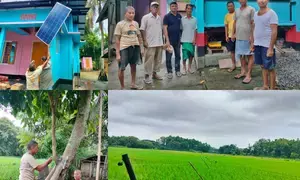 Anti-elephant solar fence helping Assam farmers reap good harvest