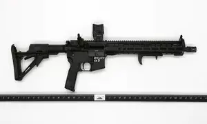 FBI releases photos of gun used in Trump assassination bid