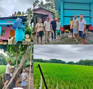 Anti-elephant solar fence helping Assam farmers reap good harvest