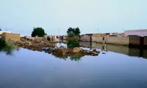 Floods affect over 4,72,000 in Sudan: UN relief agency