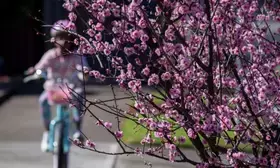 Above average temperatures forecast for spring in Australia