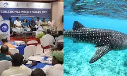 Kerala honours fishermen for rescuing endangered whale sharks