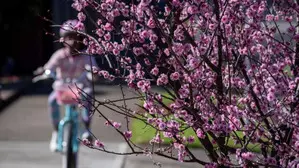 Above average temperatures forecast for spring in Australia Above average temperatures forecast for spring in Australia