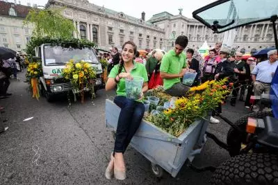 Austrias inflation falls to 2.4 per cent, lowest level since April 2021