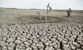 How drought and GDP are related, shows new study