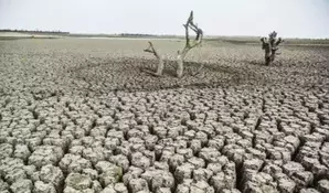 How drought and GDP are related, shows new study