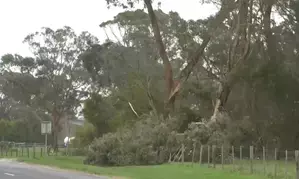 1 dead, thousands without power as severe winds hit Australia