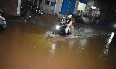 11 districts of Telangana on alert after heavy rain forecast