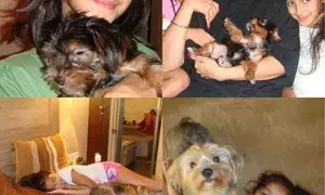 Ananya Panday heartbroken by her baby Fudges demise