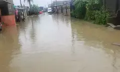 Floods kill eight, displace 60,000 in Cameroons Far North region