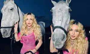 Equestrian Madonna is planning to introduce a new member in her stable
