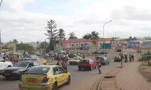 Eight killed in Cameroon road accident