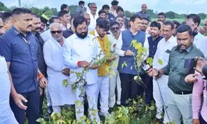 Maha CM, Deputy CM inspect damages caused to crops due to heavy rain in Latur