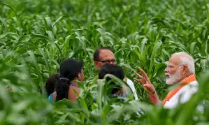 Centre to create Aadhaar-like digital IDs for 11 crore farmers by FY27