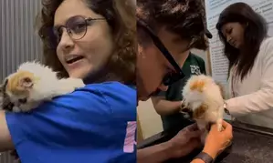 Ankita Lokhande, Vicky Jain get their baby Mau vaccinated