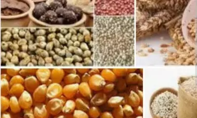 Average household spending on food less than half for 1st time in modern India