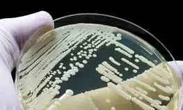 Potentially deadly fungal disease spreading in California