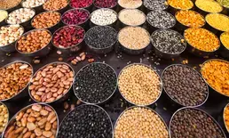 World food prices remain steady in August: FAO