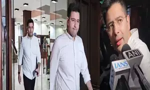 Making all efforts, hopeful of alliance with Cong: Raghav Chadha on Haryana polls