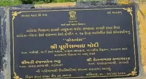 Vadodara overbridge built in 2022 develops large potholes, residents demand action