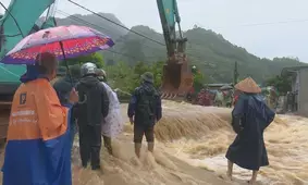 Typhoon Yagi leaves 9 killed, 186 injured in Vietnam