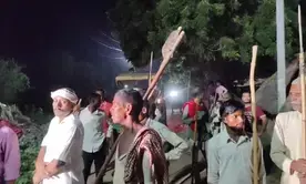 Terror grips UPs Bahraich as wolf attacks claim lives