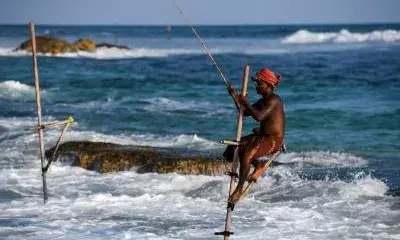 Sri Lankan tourism earnings exceed two billion USD