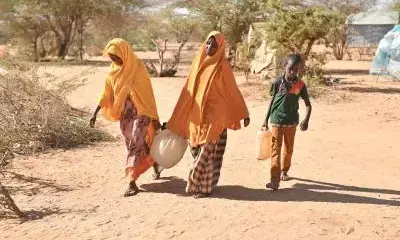 UNHCR seeks 21.4 million USD to ramp up support for displaced in Africa