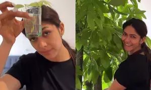Mrunal Thakur conducts a groundbreaking botanical experiment