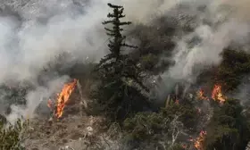 California declares state of emergency amid massive wildfires