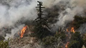 California declares state of emergency amid massive wildfires California declares state of emergency amid massive wildfires