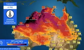 Ozone emissions reducing tropical forests ability to store carbon dioxide: Australian research