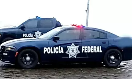 At least 11 killed in gangster clash in western Mexico