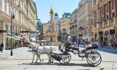 Austrias economy to decline by 0.7 per cent in 2024: National Bank