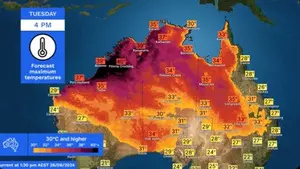 Ozone emissions reducing tropical forests ability to store carbon dioxide: Australian research
