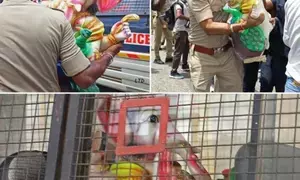 Ktaka BJP slams Congress govt for compromising sanctity of Ganesha idol