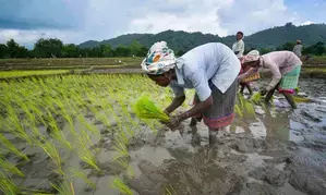 India implementing world’s largest food-based safety net programmes: Minister