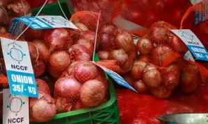 Onion prices drop in major cities after retail selling at subsidised  rate: Centre