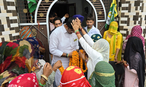 12 family members of three ex-Haryana CMs battle it out in Assembly polls