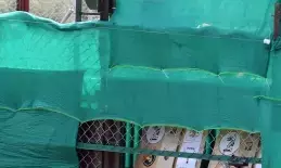 PM Modi turns 74 on September 17: Here is how he rang in his birthday over the years