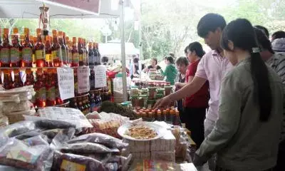 Vietnams fishery exports up 20 per cent in August