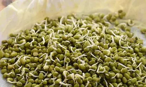 Health Benefits of Sprouted Moong: A Powerhouse Breakfast for a Stronger You
