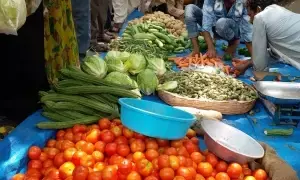 Softening of WPI inflation to cut production costs, demand surge for consumption